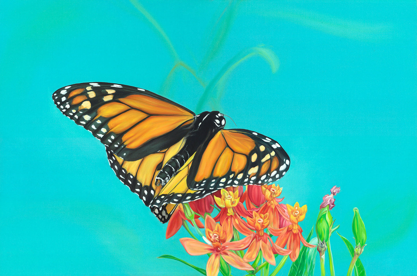 Monarch VII