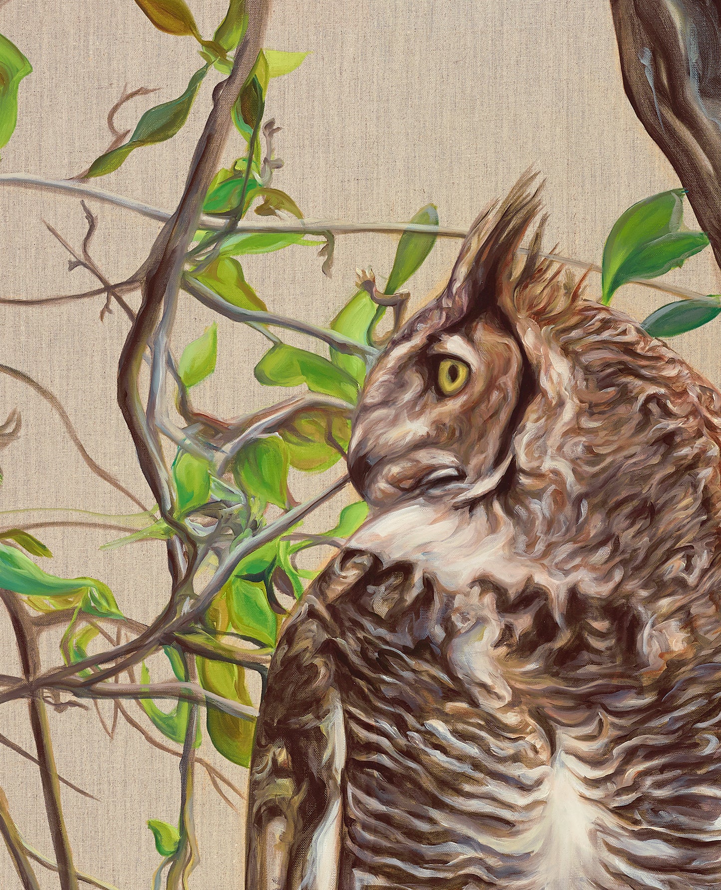 Great Horned