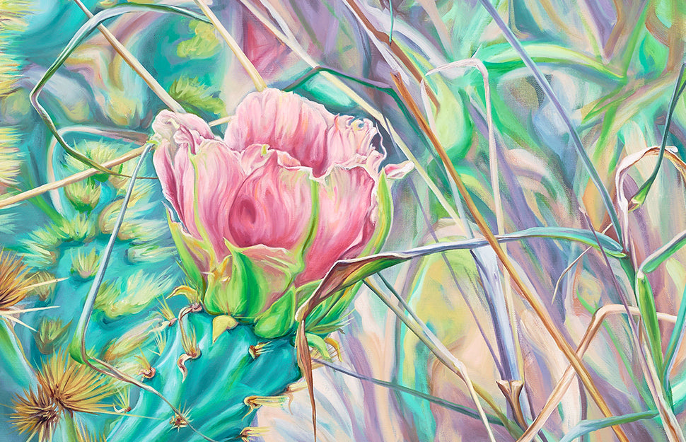 Nopal in Pink IV