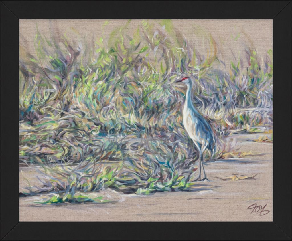 Sandhill Crane