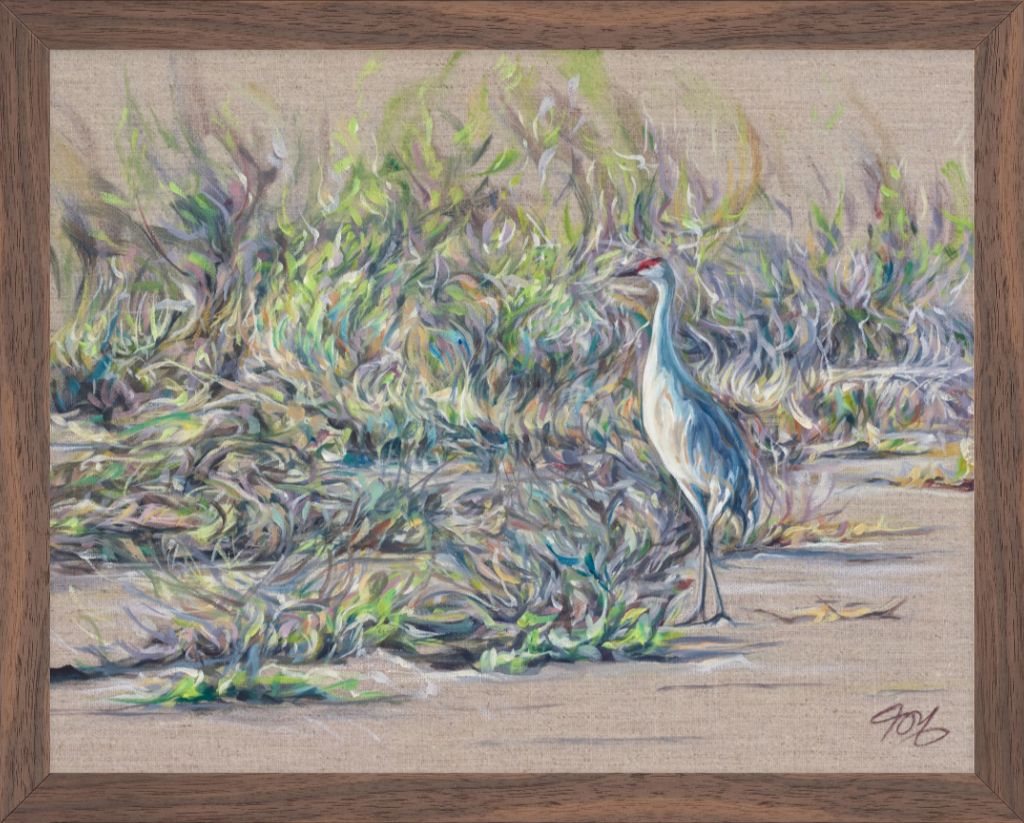 Sandhill Crane