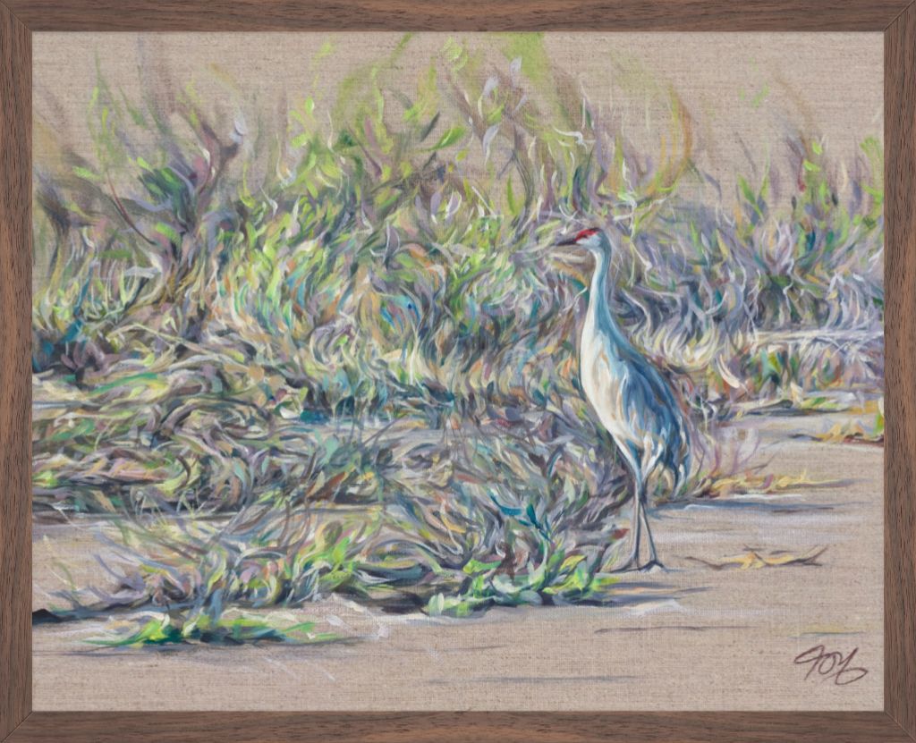 Sandhill Crane