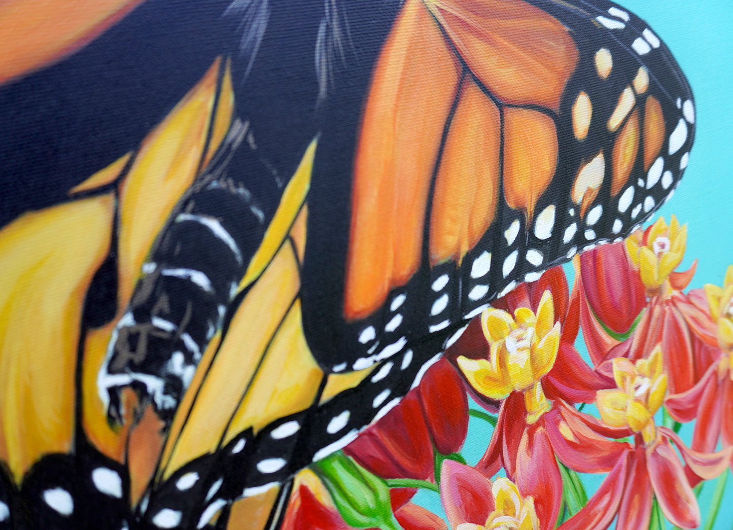 Monarch VII