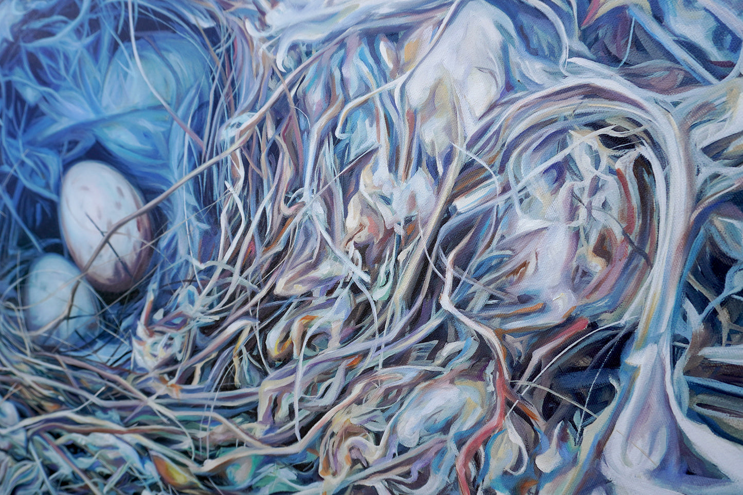 Nest V