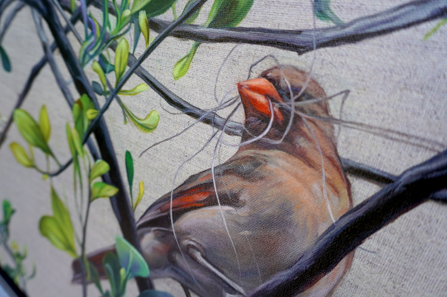 Mama Cardinal II
