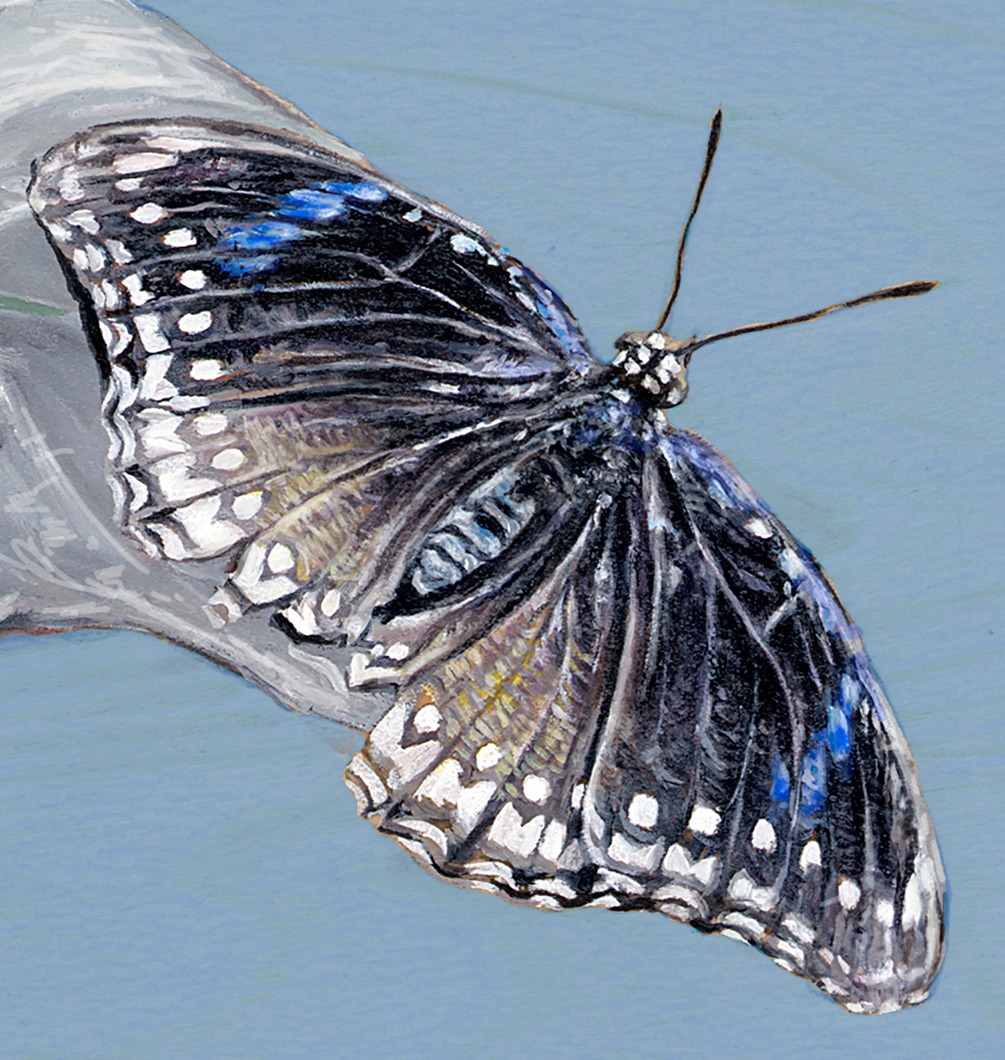 Silver Leaves on Blue