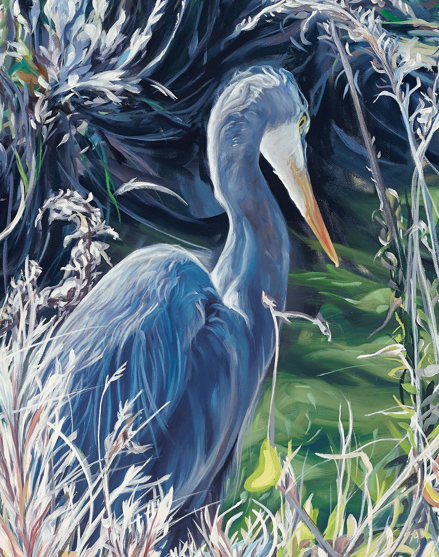 Blue Heron 4/195