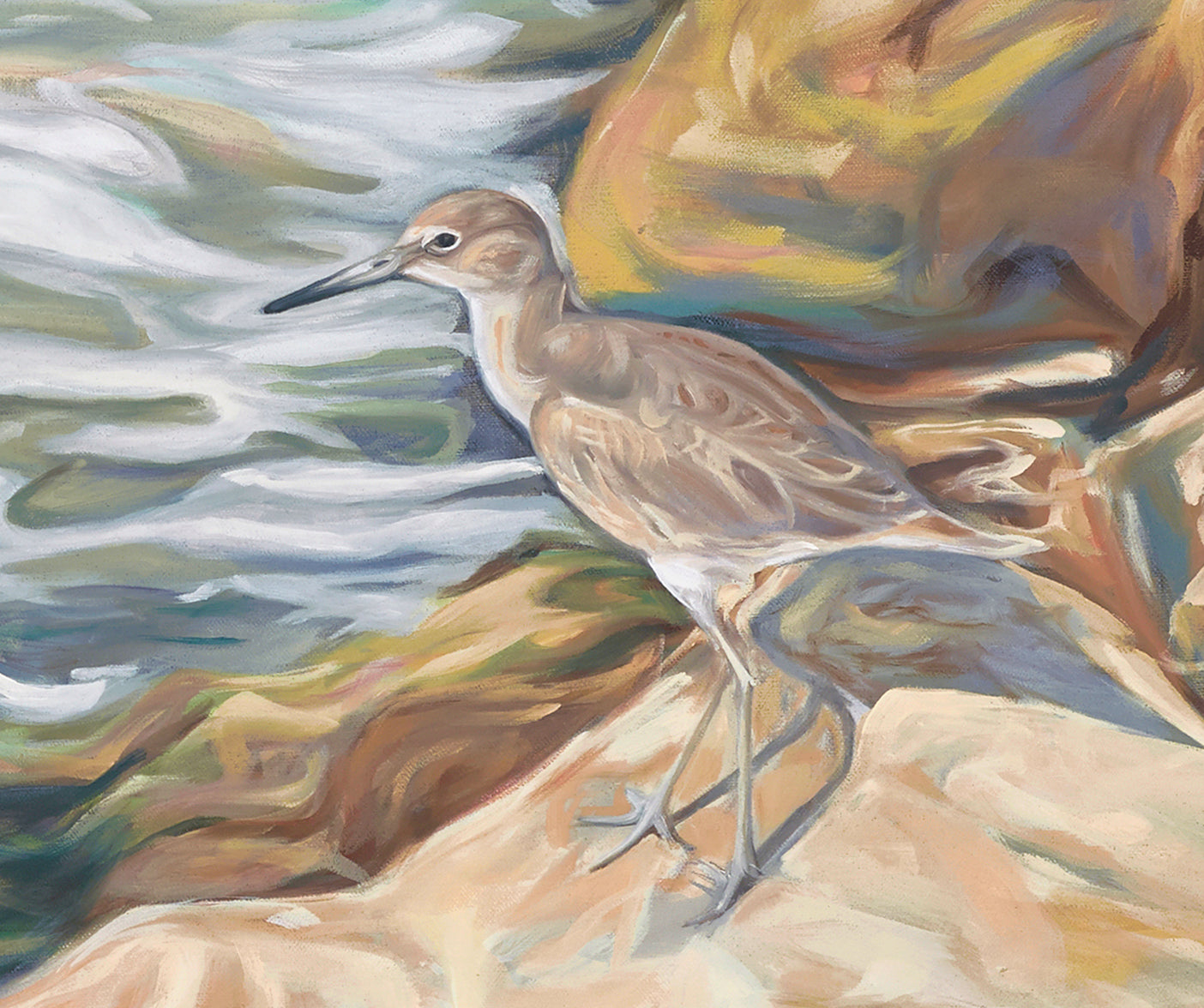 Observing Willet