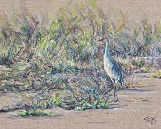 "Sandhill Crane" on Watercolor Paper