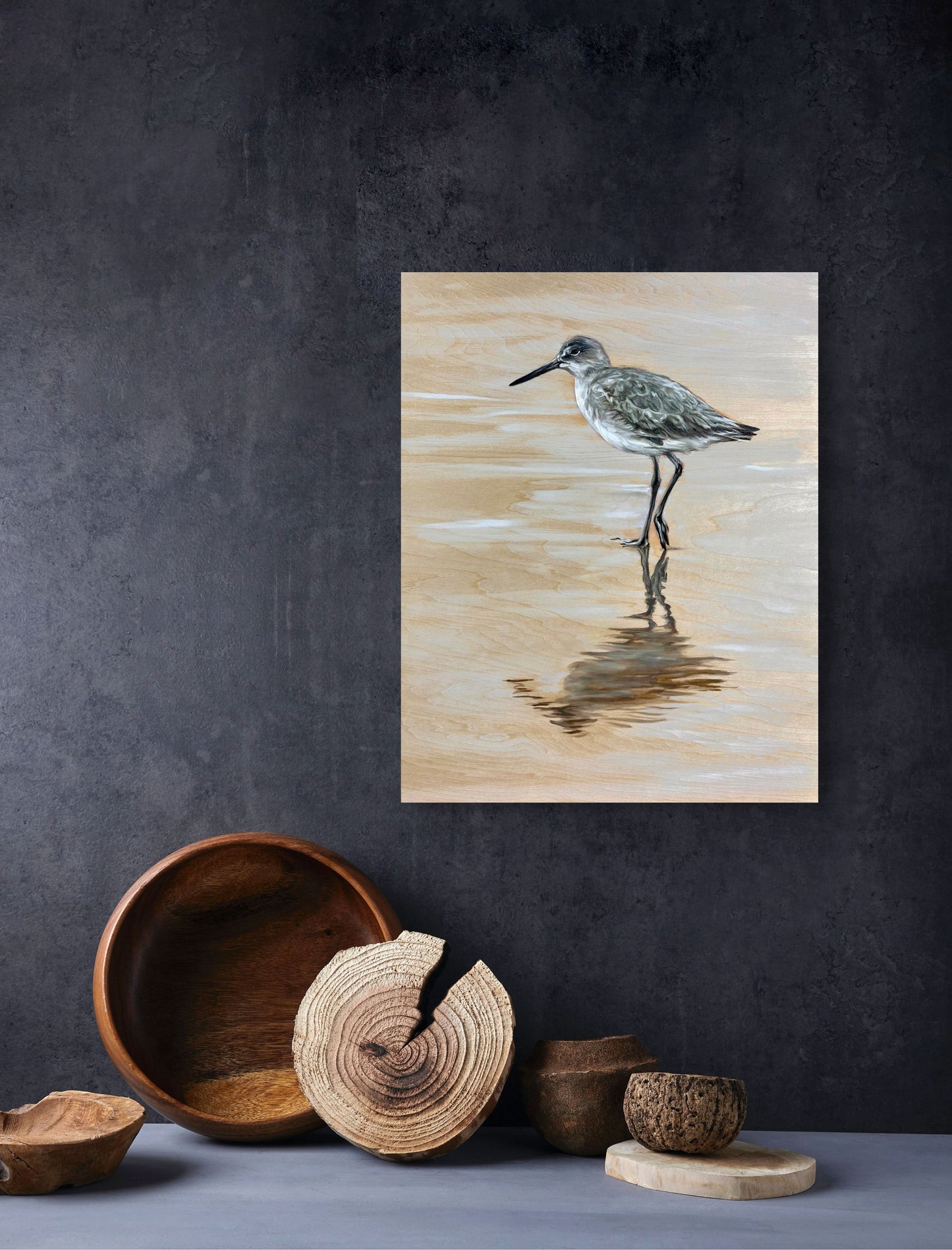 Little Willet